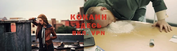 гашик Балахна