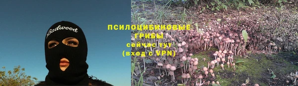 гашик Балахна